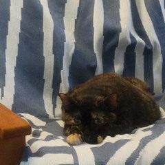 unlimited head canon