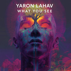 What You See