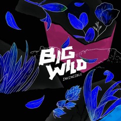 Big Wild - When I Get There (LEESH Remix)