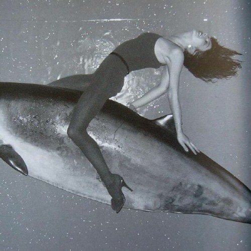 princess renewable resource Mayor kate bush mother song Willing