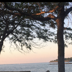 Mourning in the morning