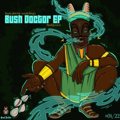 Buddynice  - Bush Doctor (Original Mix)
