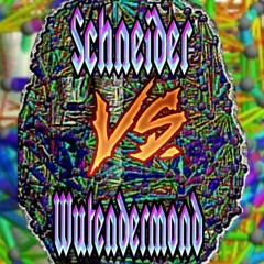 𝕾𝖈𝖍𝖓𝖊𝖎𝖉𝖊𝖗 - 𝕳𝕰𝖃𝕰𝕹𝕳𝕺𝕱