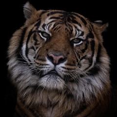 Cool for the Summer (Hardstyle) | Slowed