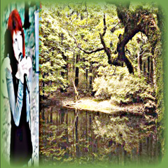 mage tears "cats in the cold" jerk/hoodtrap remix (prod. A. Shy#$%)