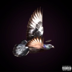 Y. Neshuh - Lo Que Siento