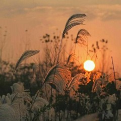 Yêu Em Là Mộng Tưởng Ban Đầu Của Anh - Lưu Tâm ♫ 爱你是我最初的梦想 - 刘心 - cover