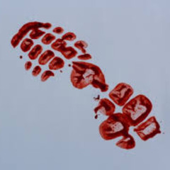 Bloody Boots