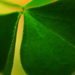 drop shop 2 - minimal tech liveact - homestudio2019 - incrediblenoises