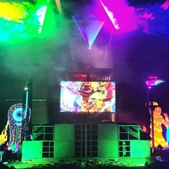 Not Sure at Bass Monsters Festival 2022