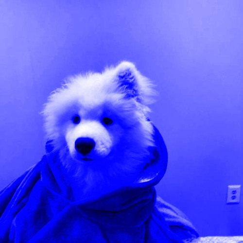 better off obsessing u snippet