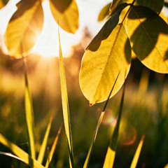 Testing Introductions