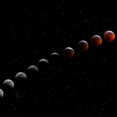 Vol. 1 - New Moon Rising
