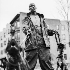 here we go again - dmx