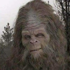 Sasquatch - Mix