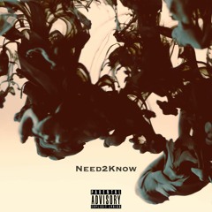 Txny X - Need2Know(feat. Hailey Knox & Boogie Bones)