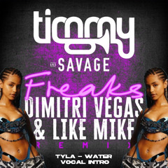 Freaks (Dimitri Vegas & Like Mike Remix) Stephen "Water" Vocal Intro | Filter For Copyright