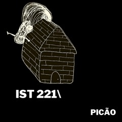 IST 221\picão
