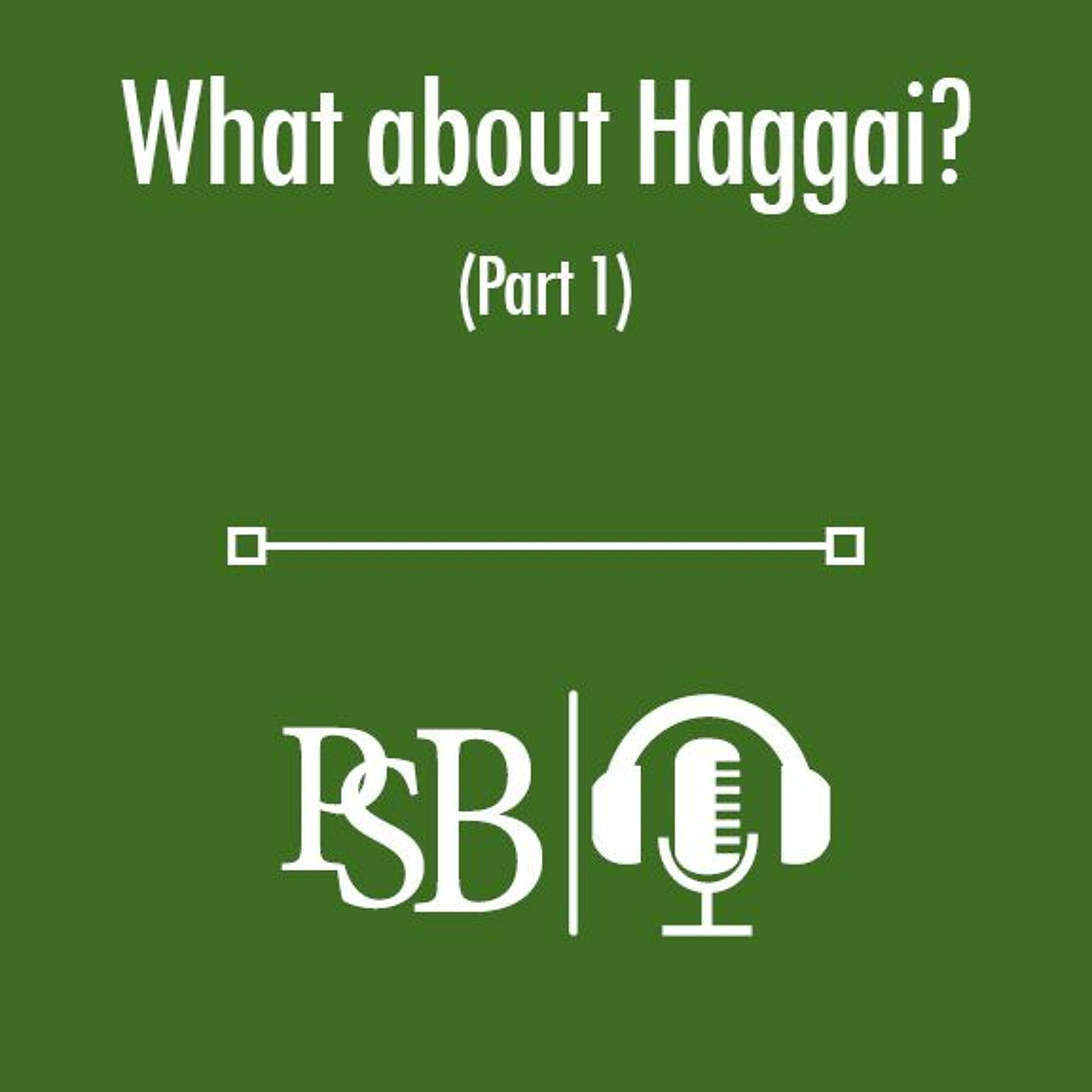 141 | What About Haggai?: part 1 of 2 (with Bryce Whittacker) episode artwork