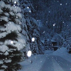 zay @ YESFEST WINTER