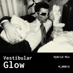 Vestibular Glow - Hybrid Mix - 015