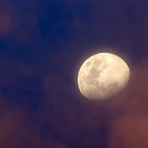 The Moon (I want to see it though)