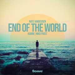 Nate VanDeusen & Karim - End of The World (feat. Niko Frost)