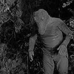 wild things p.1ripsxd