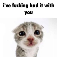 Virgin L - DYSGRAPHIA