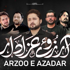 Arzo e Azadar | Syed Raza Abbas Zaidi | noha 2019
