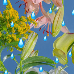 FLOWERRAIN