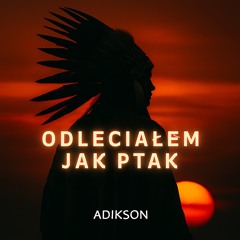 Odleciałem jak ptak