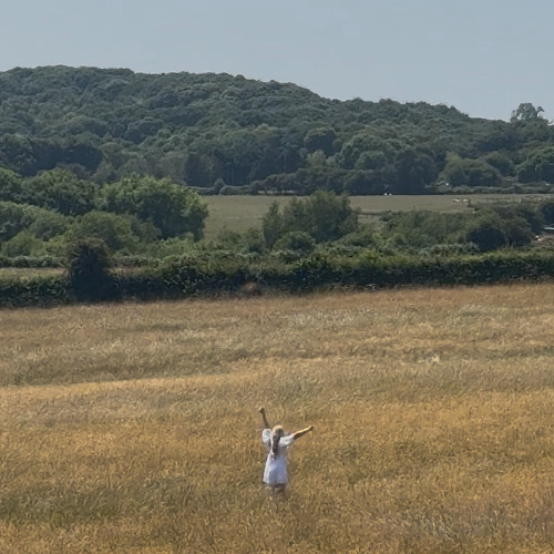 i can do this but i don't wanna