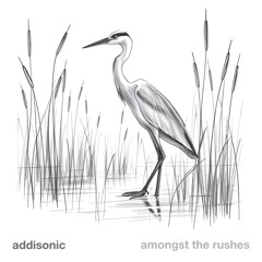 Amonst the Rushes (naviarhaiku576)