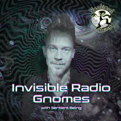 2.5 INVISIBLE RADIO GNOMES Ep16 Dj Psyagra