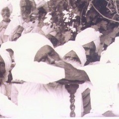 Raamaa Mai Saadhoo Charan Dhuveejai (Raag Kalyan, 1999 Smagam) - Bhai Harjinder Singh Lallie (UK)