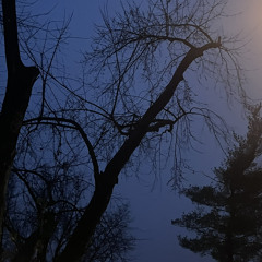 Brand (prod.Sanaro bae)