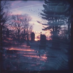 Fireflies