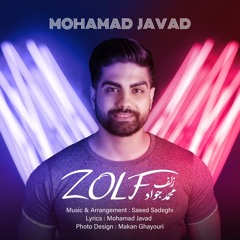 Mohamad Javad_zolf