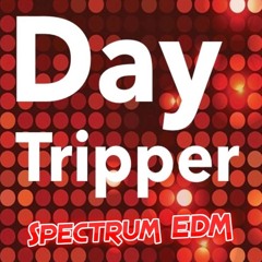 Day Tripper - The Maddening Crowd Mix
