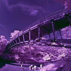 Dream Valley-follow me (slowed)