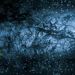 OneAmbient4 - Dark Matter