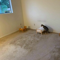 КОСМОНАВТОВ НЕТ & HOME - Ты пахнешь мятой x Resonance [ mashup ]