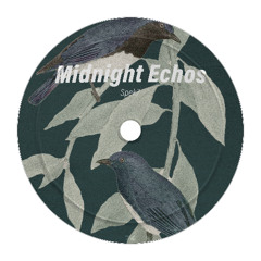 Midnight Echos