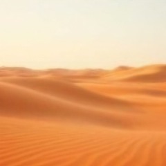 Ride the Dunes