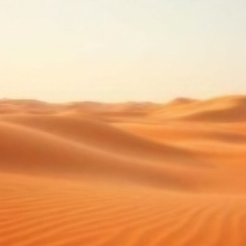 Ride the Dunes