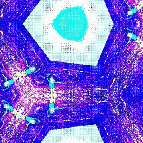 rotate