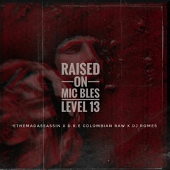 Raised On (feat. ethemadassassin, DRE Colombian RAW & DJ Romes)