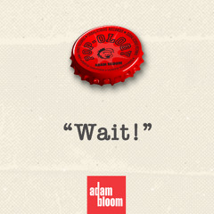 Adam Bloom - Wait - Radio Edit