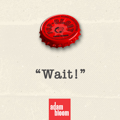 Adam Bloom - Wait - Radio Edit
